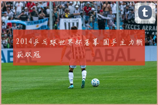 2014乒乓球世界杯落幕 国乒主力斩获双冠